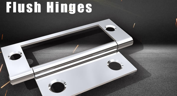 Functional Structure Classification and Application of Hinge