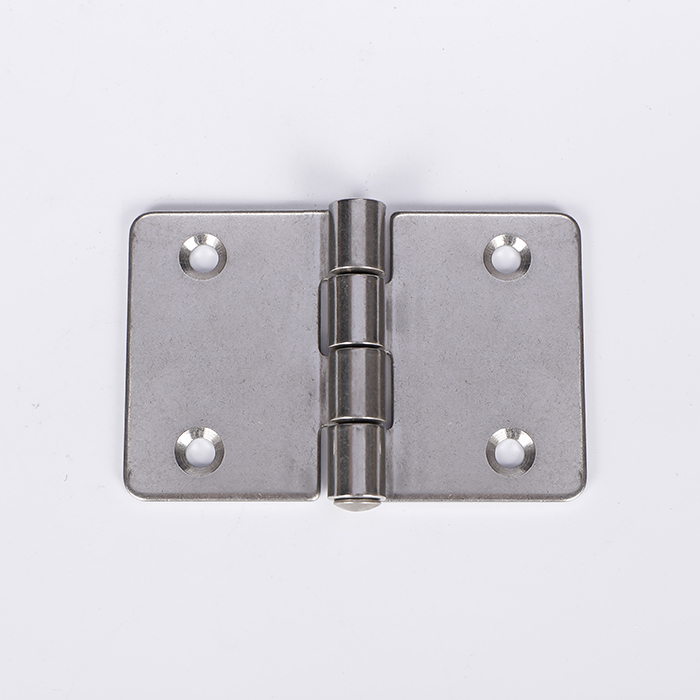 Mechanical and Electrical equipment stainless steel hinge